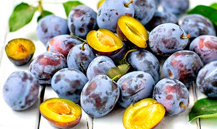 Kráľovská úroda | Gradinamax