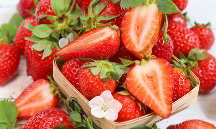 Medová pochúťka | Gradinamax