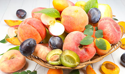 Mini záhrada na terasu | Gradinamax