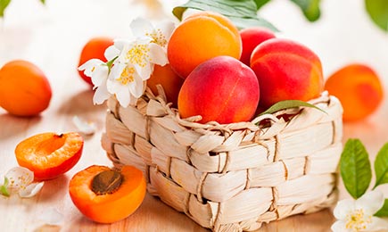 Sen gurmána | Gradinamax