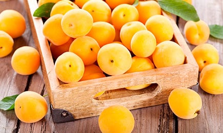 Sladké, šťavnaté, úrodné | Gradinamax